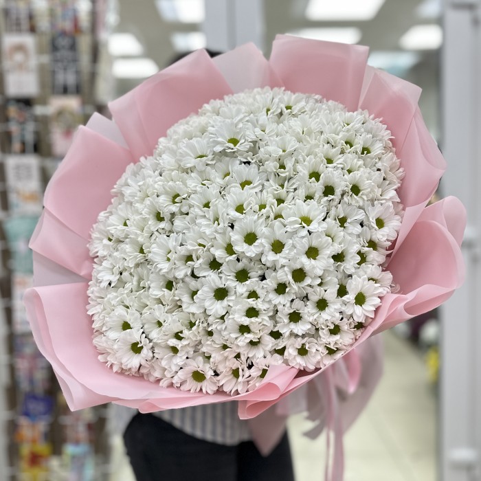 35 белых кустовых хризантем Бакарди