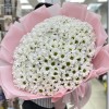 35 белых кустовых хризантем Бакарди