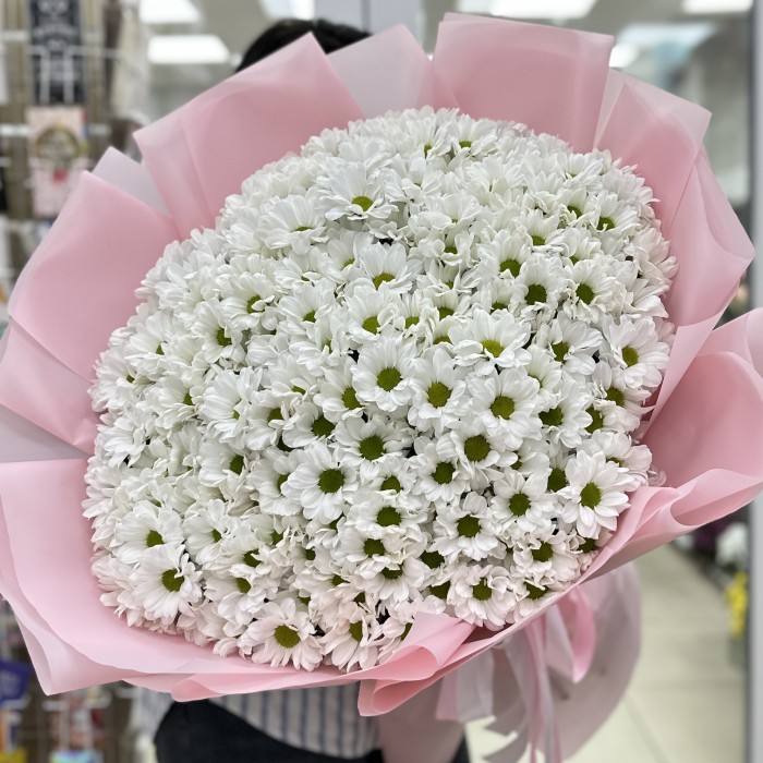 35 белых кустовых хризантем Бакарди