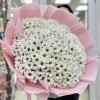 35 белых кустовых хризантем Бакарди