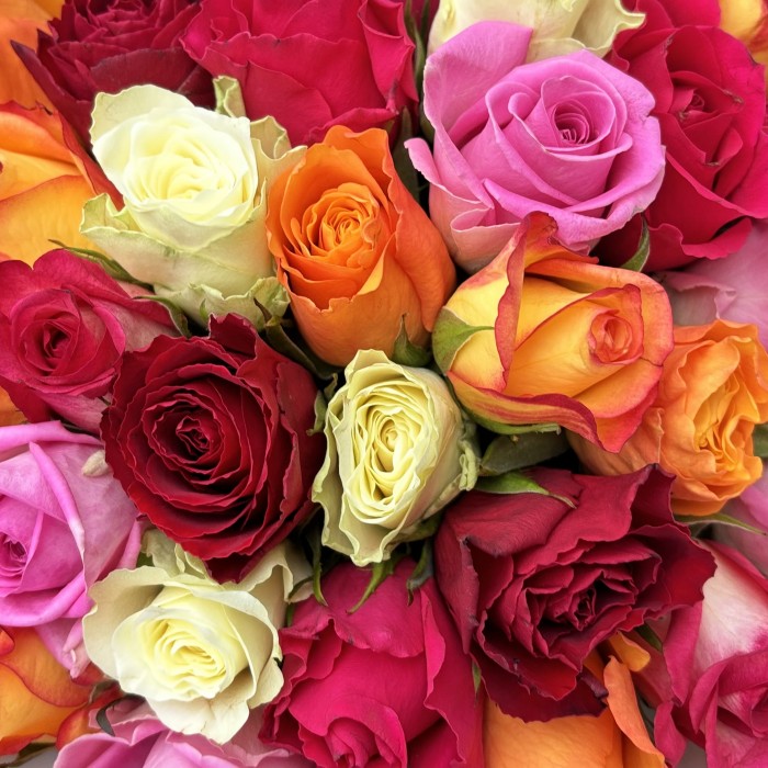 35 роз яркий микс в упаковке