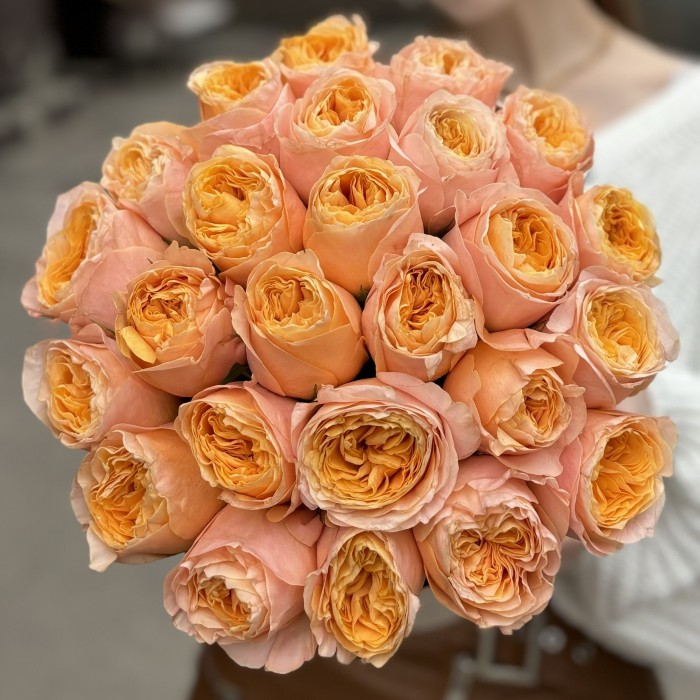 35 пионовидных роз Имэджин в коробке