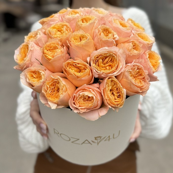 35 пионовидных роз Имэджин в коробке