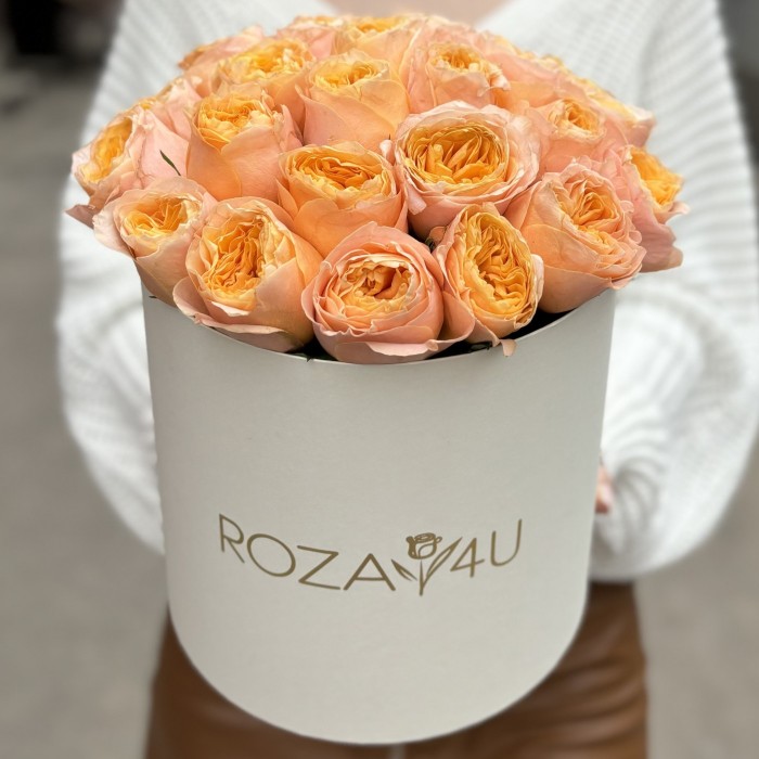 35 пионовидных роз Имэджин в коробке
