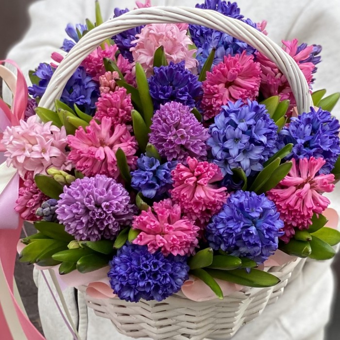 35 ароматных гиацинтов микс в корзине