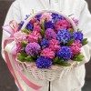 35 ароматных гиацинтов микс в корзине