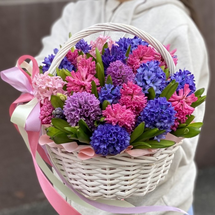 35 ароматных гиацинтов микс в корзине