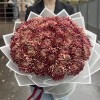 35 бордовых хризантем