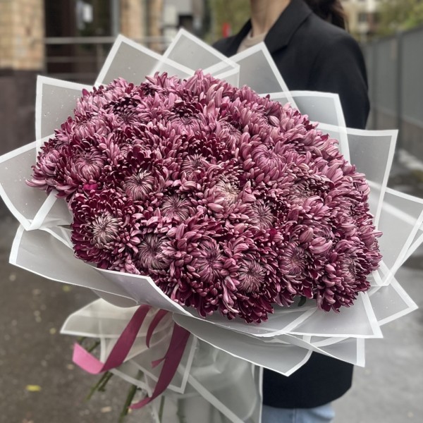 35 фиолетовых хризантем
