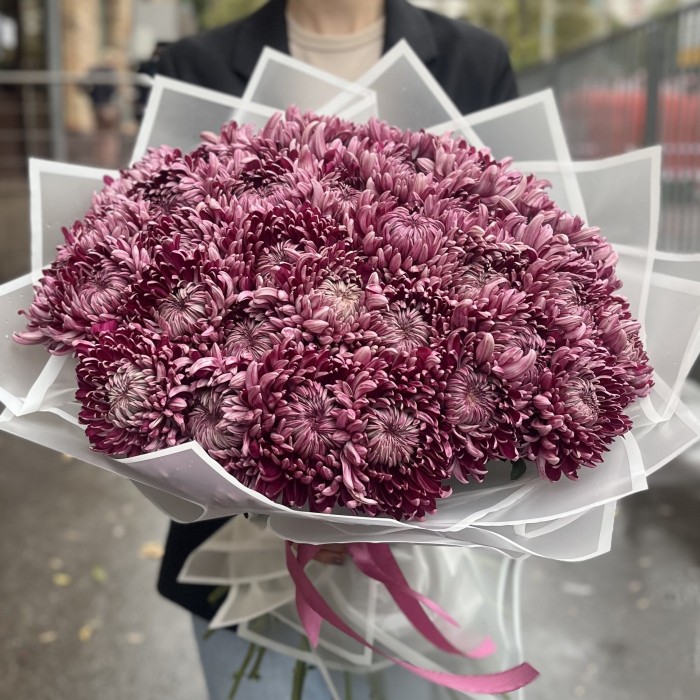 35 фиолетовых хризантем