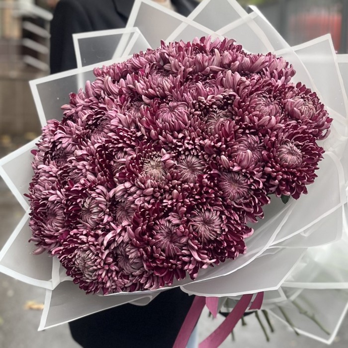 35 фиолетовых хризантем