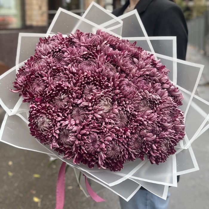 35 фиолетовых хризантем