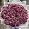 35 фиолетовых хризантем