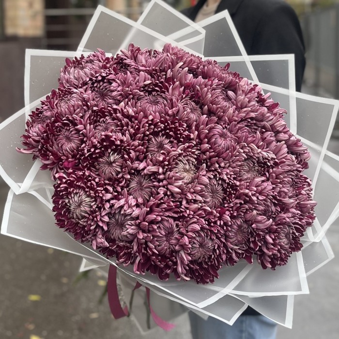 35 фиолетовых хризантем