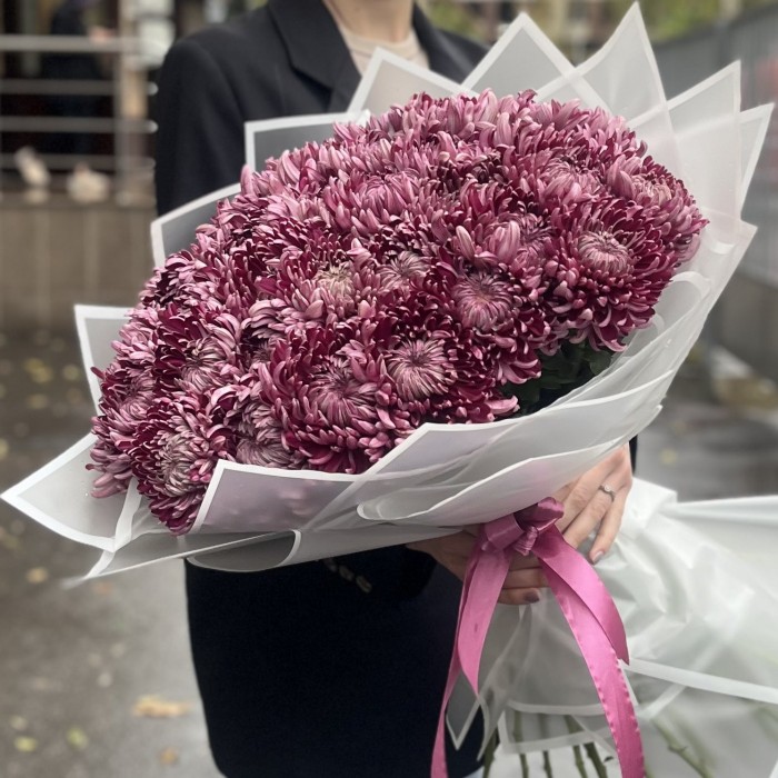 35 фиолетовых хризантем