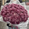 35 фиолетовых хризантем