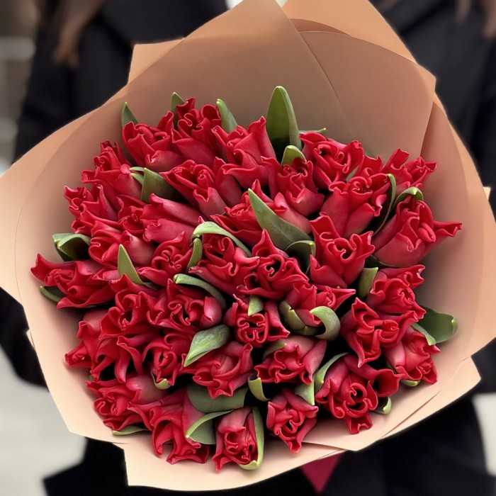 35 красных тюльпанов Ред Дресс в упаковке