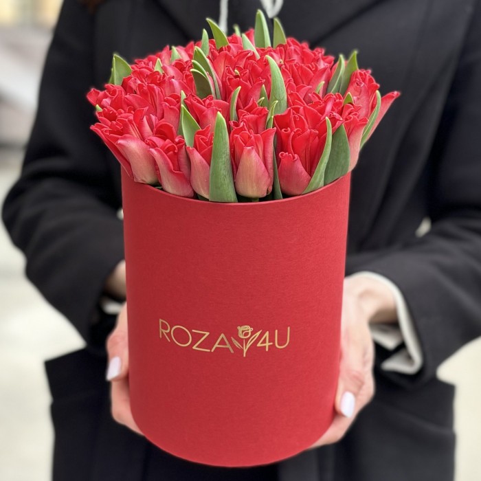35 красных тюльпанов Ред дресс в коробке
