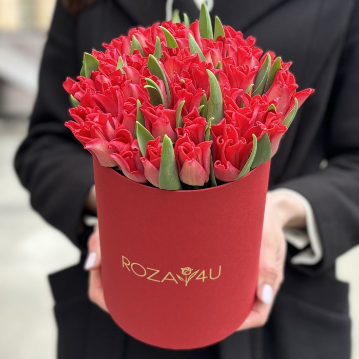 35 красных тюльпанов Ред дресс в коробке