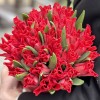 35 красных тюльпанов Ред дресс в коробке