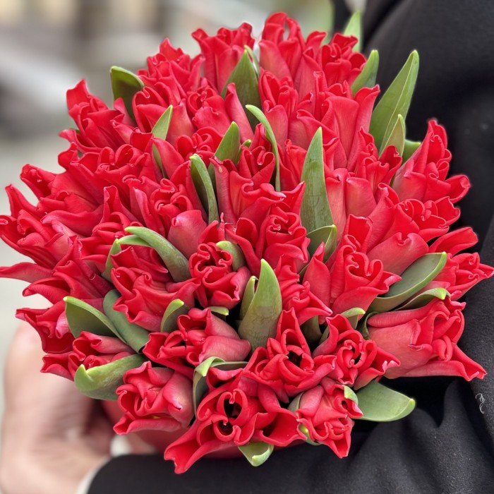 35 красных тюльпанов Ред дресс в коробке