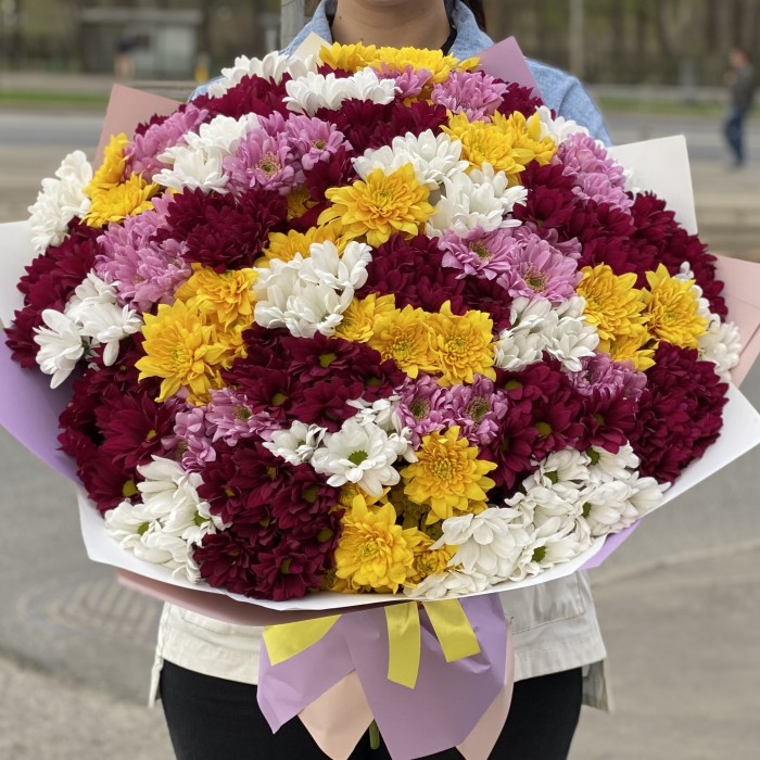 35 кустовых хризантем микс в упаковке