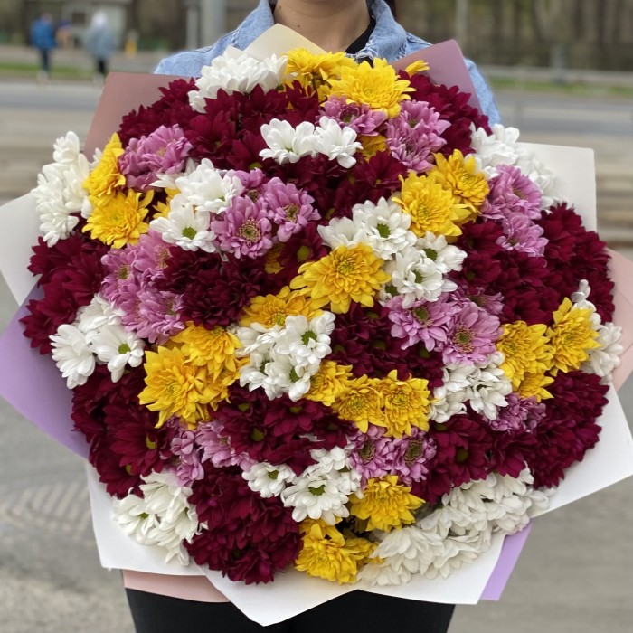 35 кустовых хризантем микс в упаковке