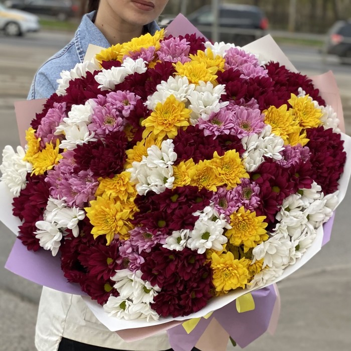 35 кустовых хризантем микс в упаковке