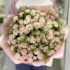 35 кустовых розовых роз Рефлекс с гринбелом
