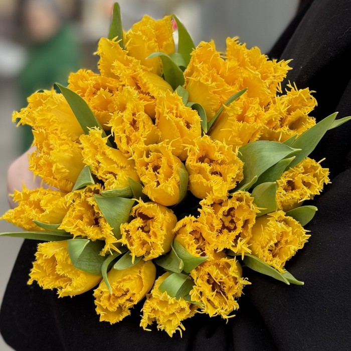 35 махровых желтых тюльпанов в коробке
