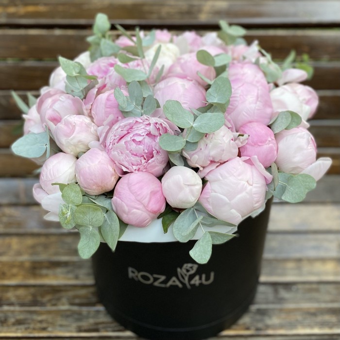 35 нежных пионов в коробке