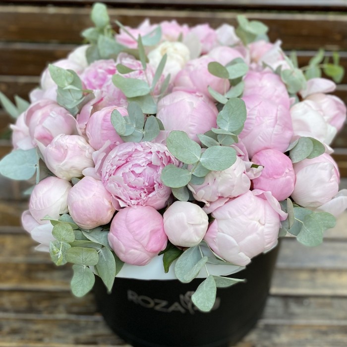 35 нежных пионов в коробке