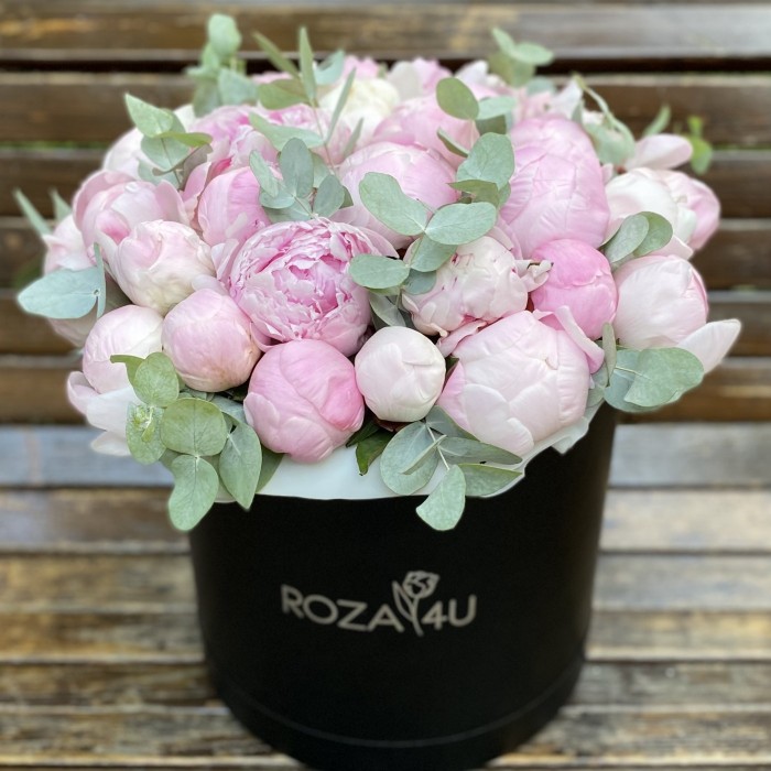 35 нежных пионов в коробке