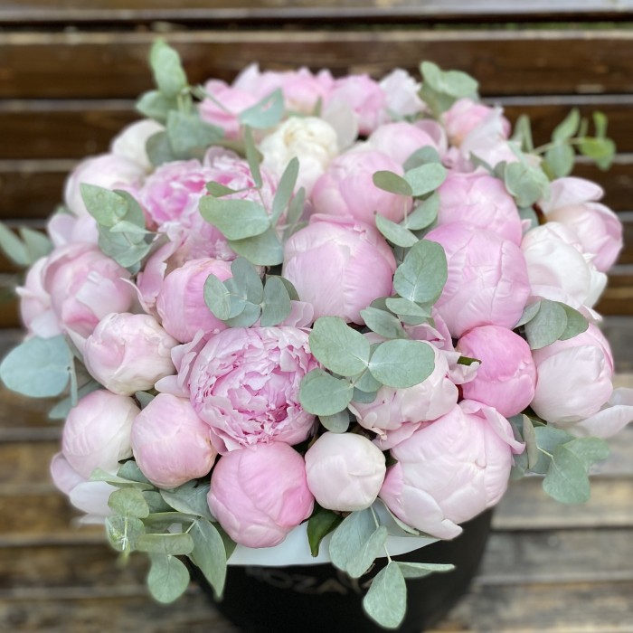 35 нежных пионов в коробке