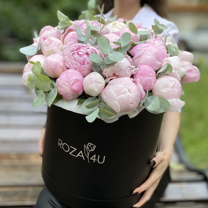 35 нежных пионов в коробке