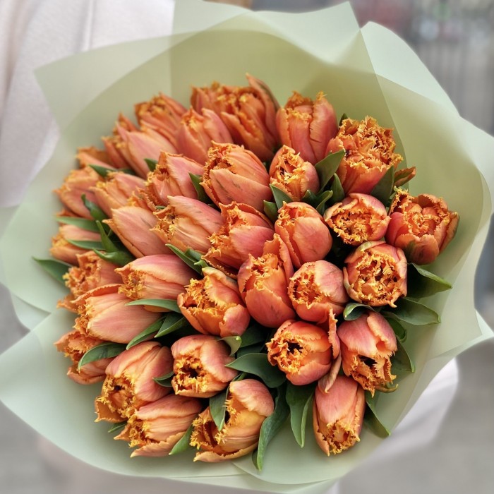 35 оранжевых махровых тюльпанов Оранж пэшн