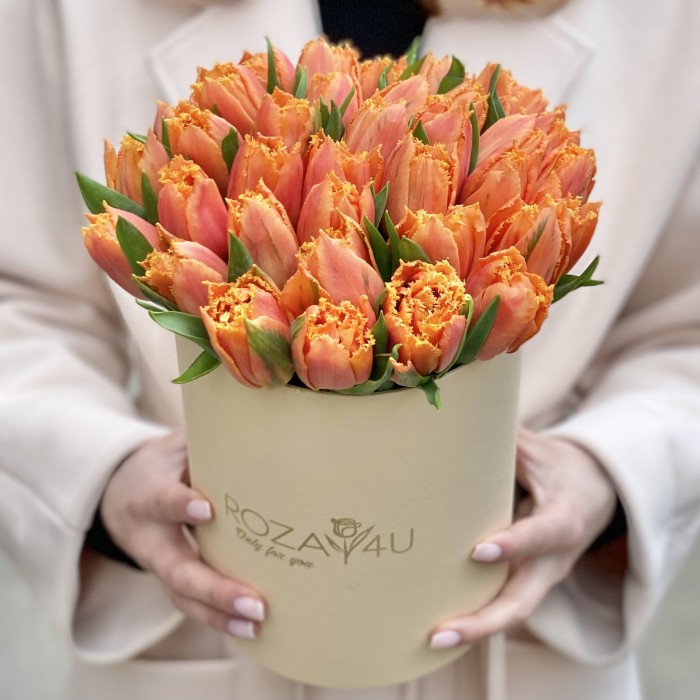 35 оранжевых махровых тюльпанов Оранж пэшн в коробке