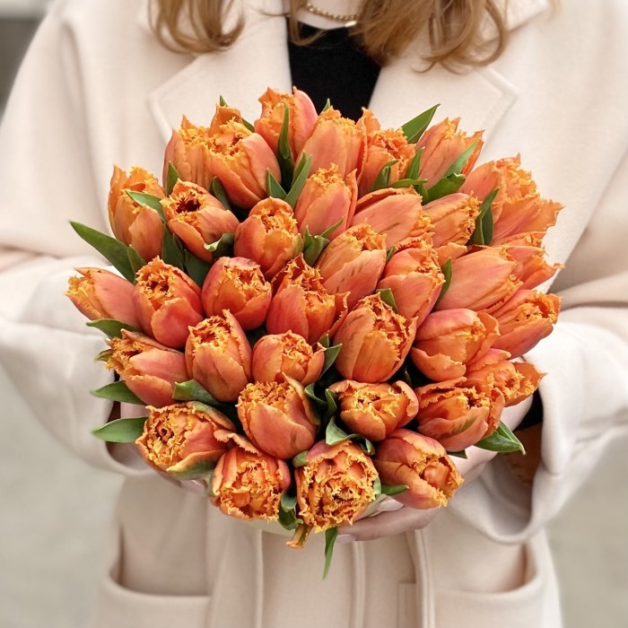 35 оранжевых махровых тюльпанов Оранж пэшн в коробке