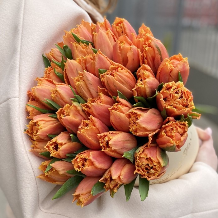 35 оранжевых махровых тюльпанов Оранж пэшн в коробке