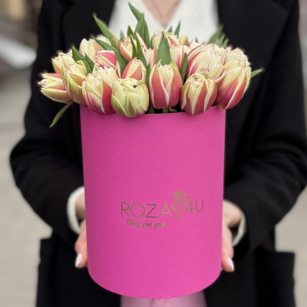 35 пионовидных красно-белых тюльпанов в коробке