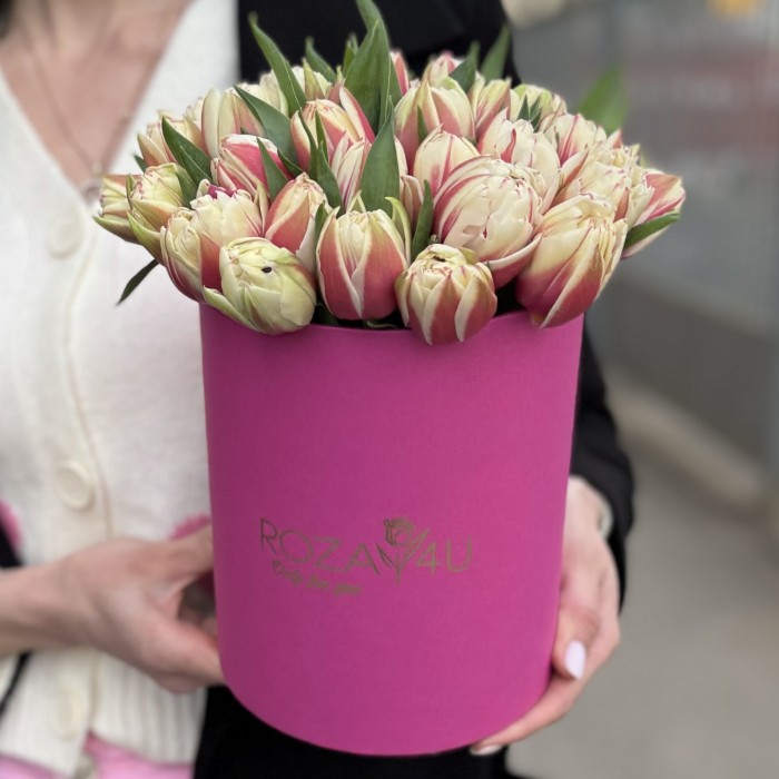 35 пионовидных красно-белых тюльпанов в коробке