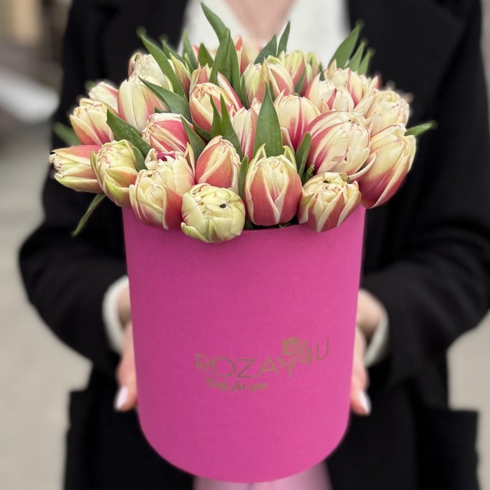 35 пионовидных красно-белых тюльпанов в коробке