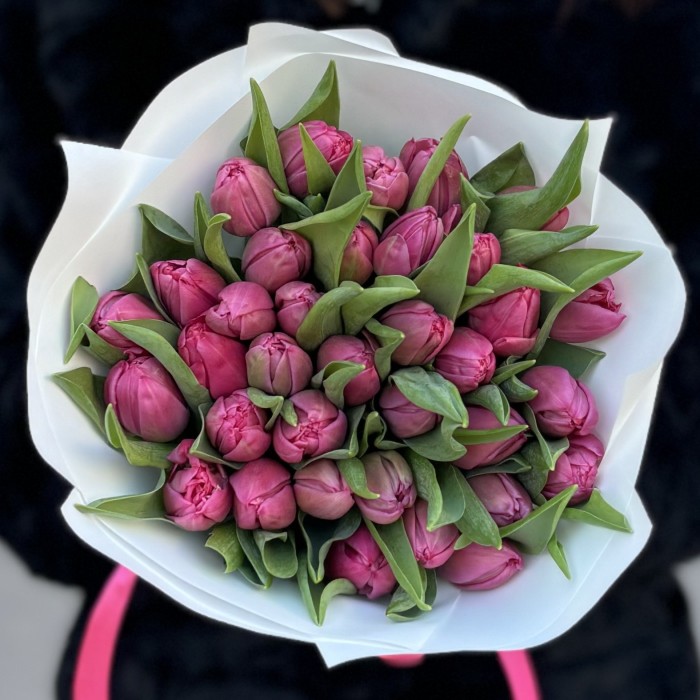 35 пионовидных розовых тюльпанов Квин оф Марвел