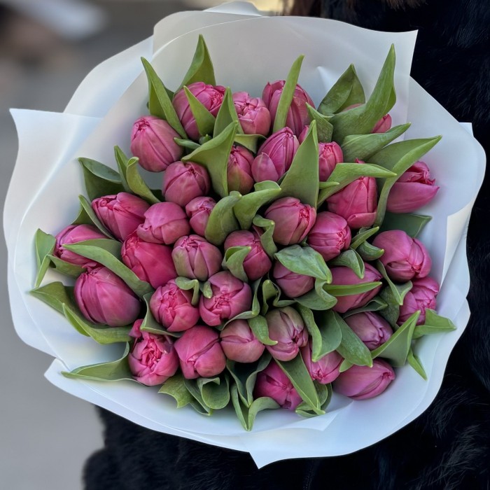 35 пионовидных розовых тюльпанов Квин оф Марвел