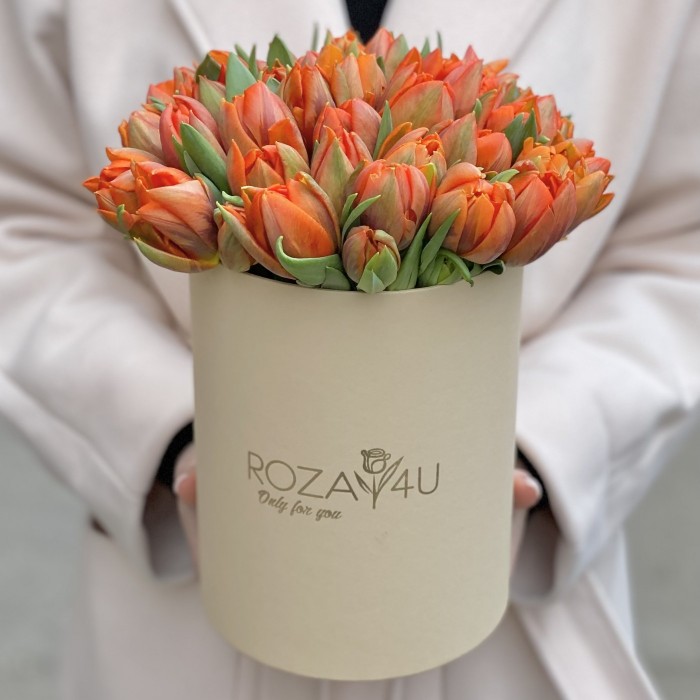 35 пионовидных тюльпанов Эрмитаж даб в коробке