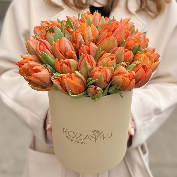 35 пионовидных тюльпанов Эрмитаж даб в коробке