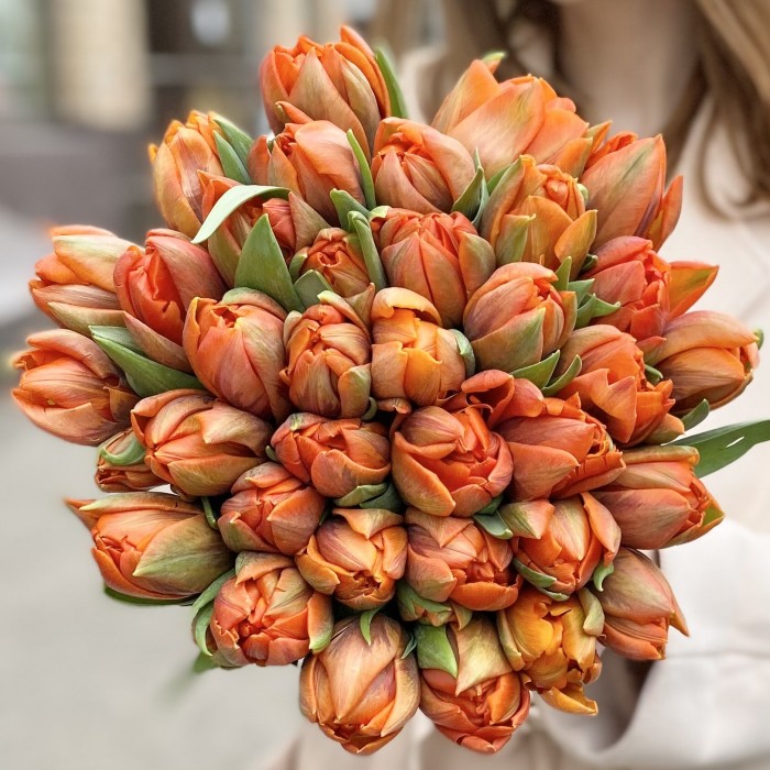 35 пионовидных тюльпанов Эрмитаж даб в коробке