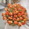 35 пионовидных тюльпанов Эрмитаж даб в коробке