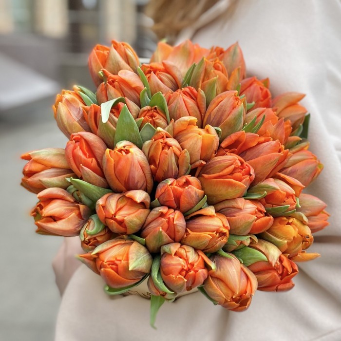 35 пионовидных тюльпанов Эрмитаж даб в коробке