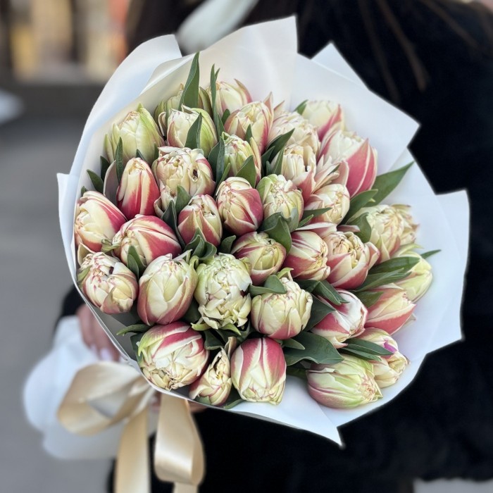 35 пионовидных тюльпанов Вермонт